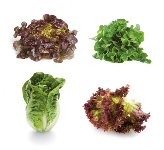 BOLSA MIX LECHUGA X 500G