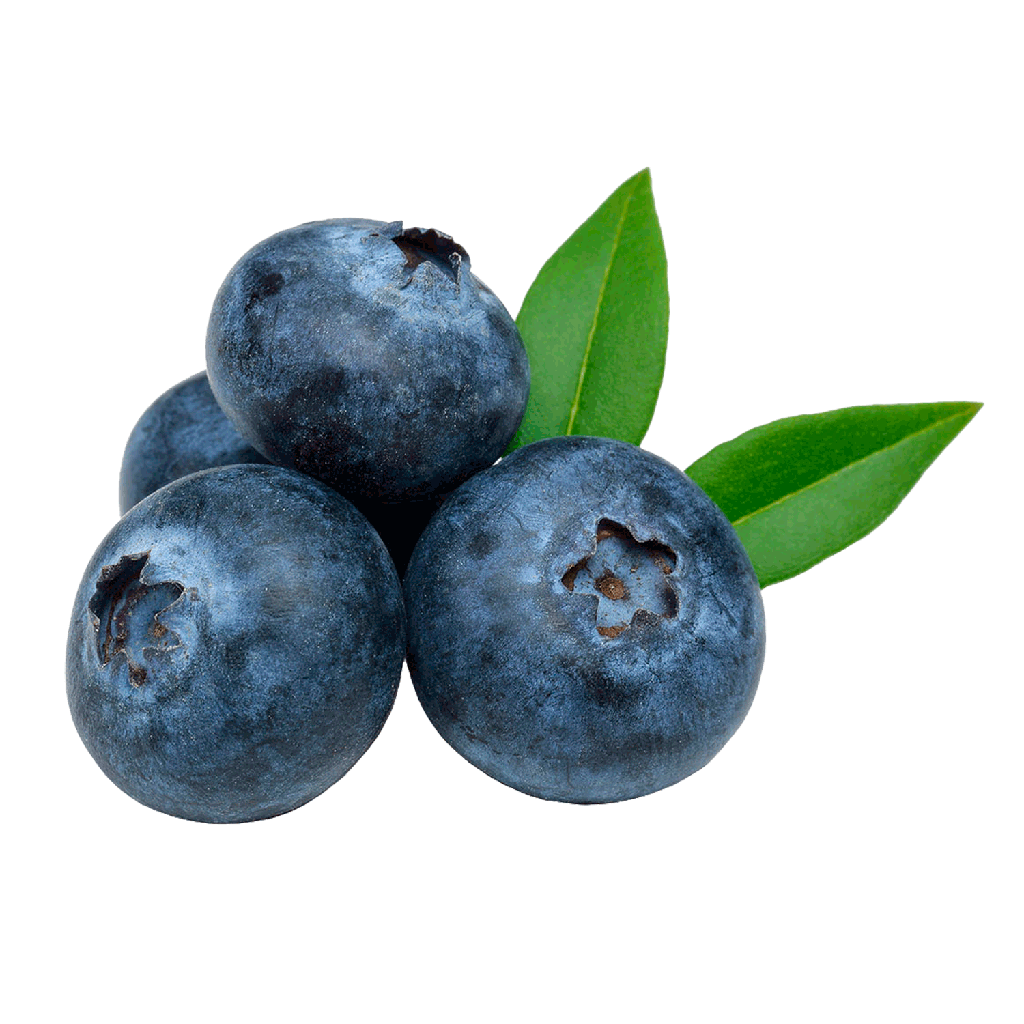 ARANDANOS CAJA X 125G