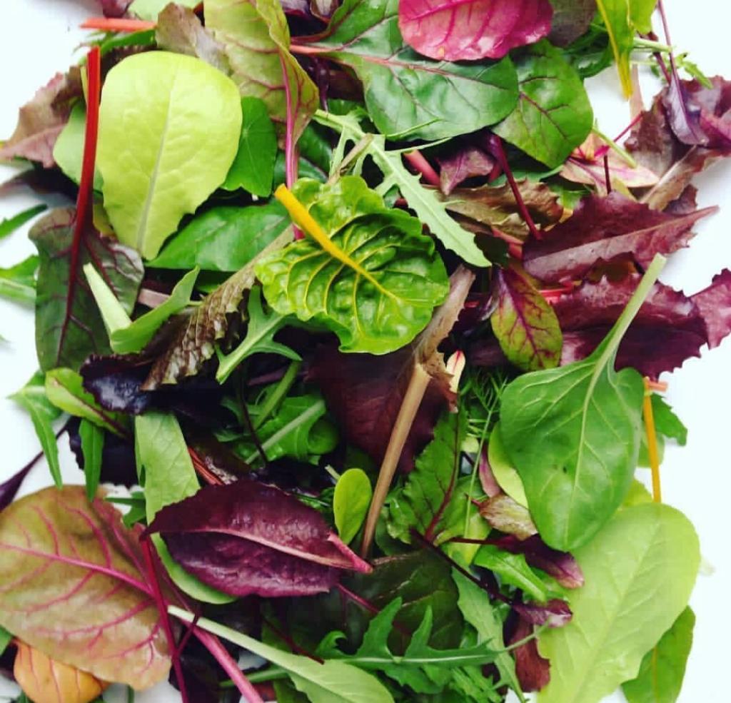 [6] BOLSA DE MEZCLUM X 500G