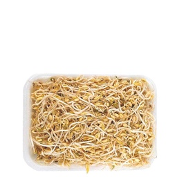 [215] BOLSA DE RAIZ CHINA