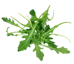 [8] BOLSA DE RUGULA X 500G