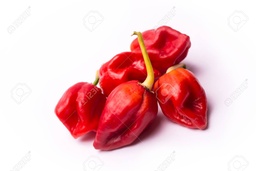 [345] AJI ESCORPION