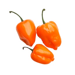[60] AJI JABANERO