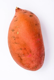 [32] CAMOTE