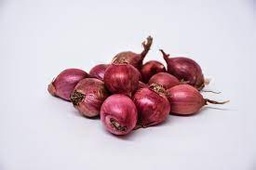 [90] CEBOLLA OCAÑERA