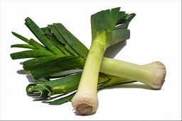 [203] CEBOLLA PUERRO