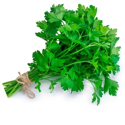 [103] CILANTRO