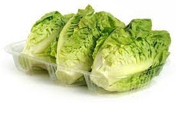 [118] COGOLLO EUROPEO