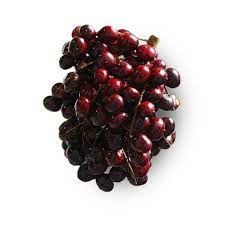 [69] COROZO COSTEÑO