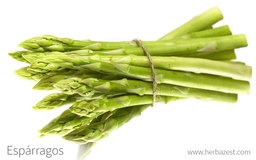 [211] ESPARRAGOS