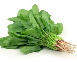 [146] ESPINACA BOGOTANA