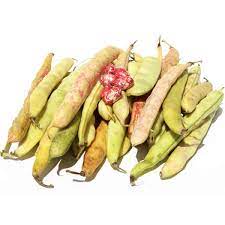 [120] FRIJOL VERDE VAINA