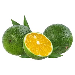 [113] LIMON MANDARINO