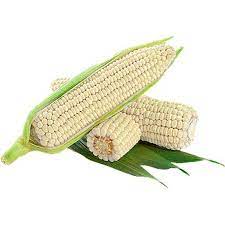 [111] MAZORCA SIN CAPACHO