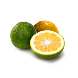 [161] NARANJA AGRIA