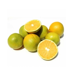 [53] NARANJA VALENCIA