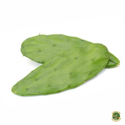 [318] HOJAS DE NOPAL