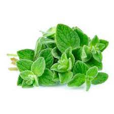 [99] OREGANO