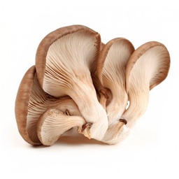 [34] CHAMPIÑON ORELLANA