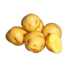 [45] PAPA CRIOLLA TRONCO