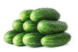 [156] PEPINO