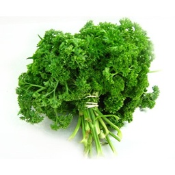 [166] PEREJIL CRESPO