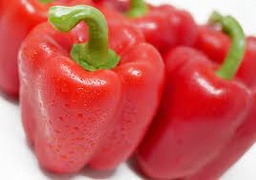 [283] PIMENTON CUATRO CASCOS