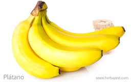 [134] PLATANO COMINO