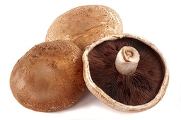 [119] CHAMPIÑON PORTOBELLO