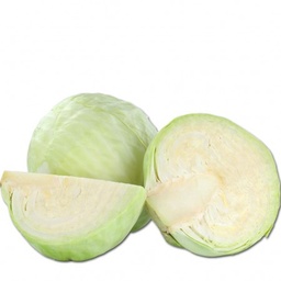 [144] REPOLLO BLANCO