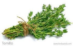[102] TOMILLO