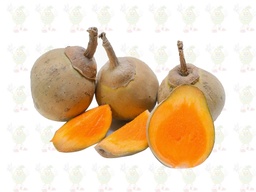 [309] ZAPOTE