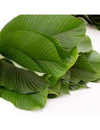 [133] PAQUETE DE HOJAS DE BIJAO