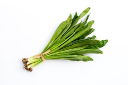 CILANTRO CIMARRON